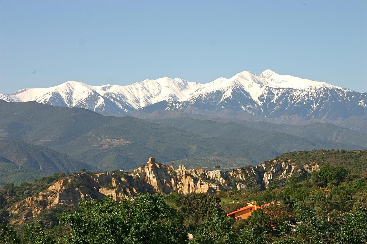 Gite Des Orgues De La Sybille Agave Canigou Exterior photo
